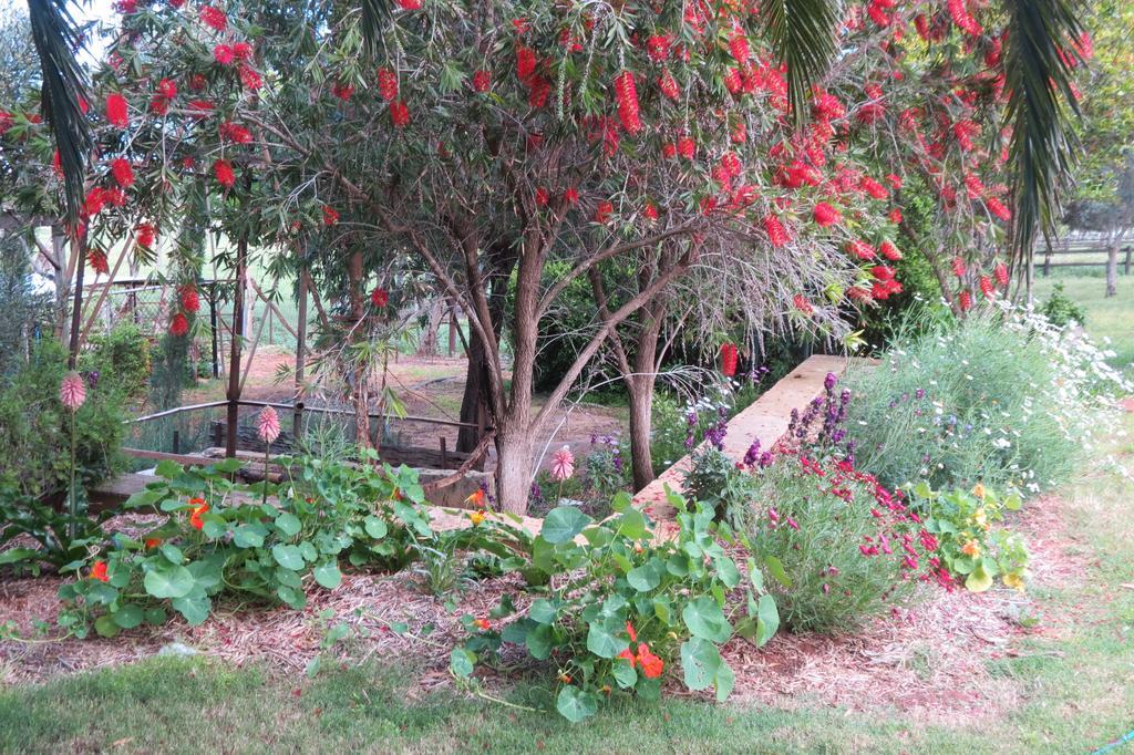 Bentwood Olive Grove Accommodation Greenough Bilik gambar