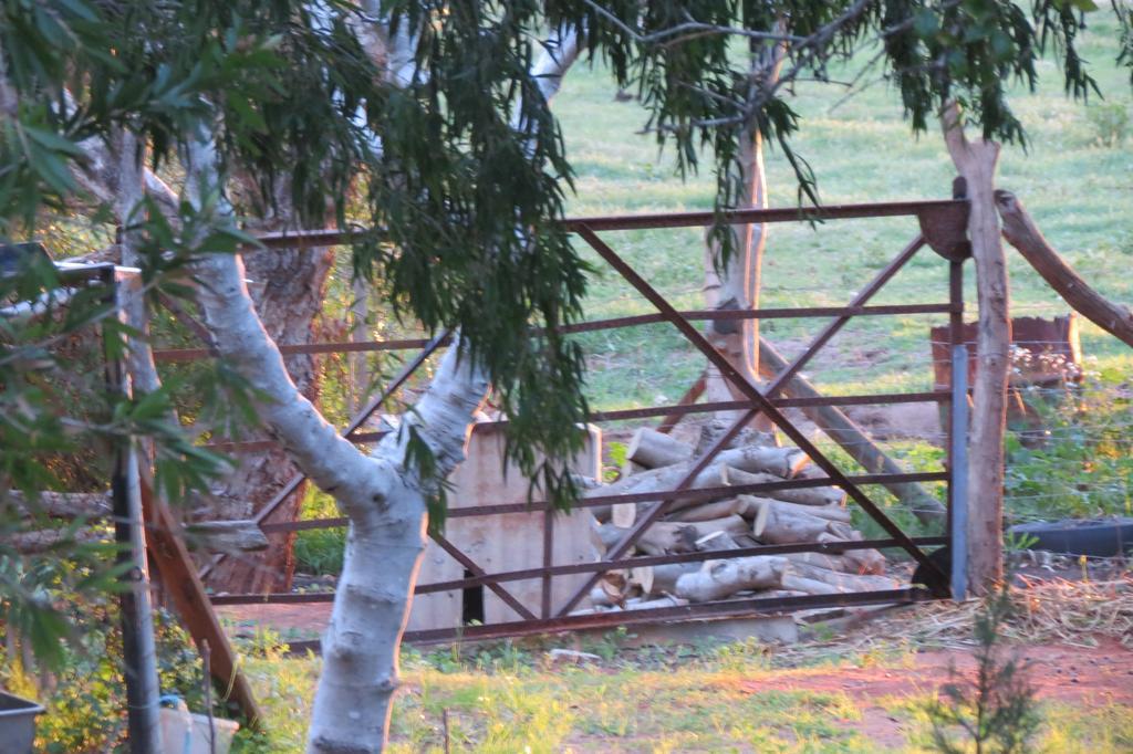 Bentwood Olive Grove Accommodation Greenough Bilik gambar